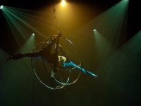 trapeze : show, theater