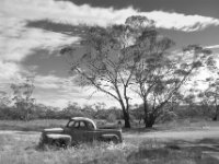 abandoned car II, Australië : Vakantie Australië 2011, auto, bomen, landschappen, set43, transport en vervoer, zwartwit